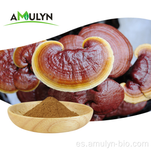 Polvo de hongo reishi de extracto de Lingzhi Ganoderma Lucidum